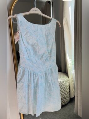 Target Sky Blue Floral Dress with White Accents
